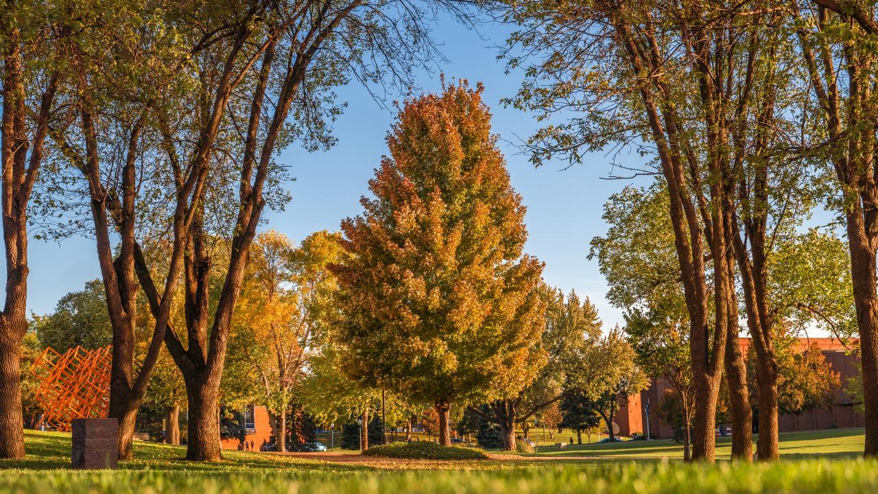 Fall at AU